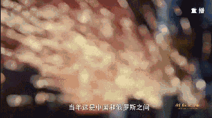 2007年,当一期工程2号机组进行技术调式时,中国方面却遇到了重大困难。