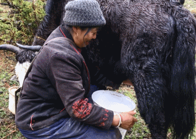 【新时代·幸福美丽新边疆】卓嘎、央宗姐妹：继续做好守边事业，期待玉麦明天更美好丨动图