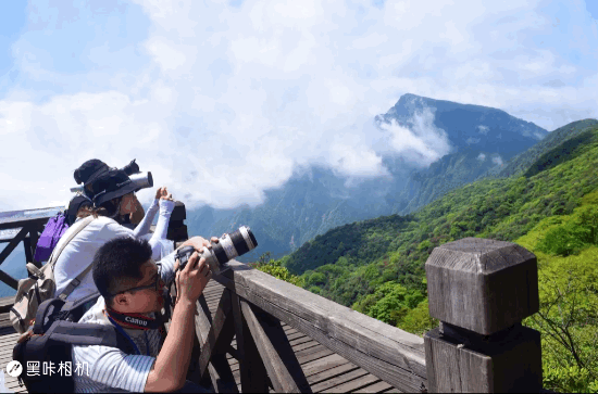 【美丽中国长江行】梵净水流来“黄金鱼”