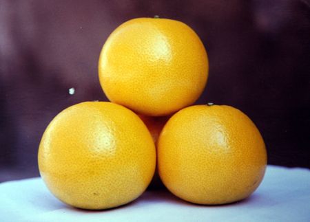 常山春城推介胡柚+签约销售意向合同4212万(