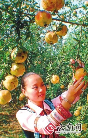 这是小红家的平面图_婴儿身上起小红点图片_小红家的收入(3)