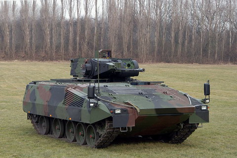 德国将削减"美洲狮"步兵战车采购数量(图)