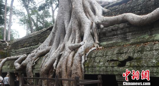 柬埔寨吴哥窟门票去年入账破亿美元