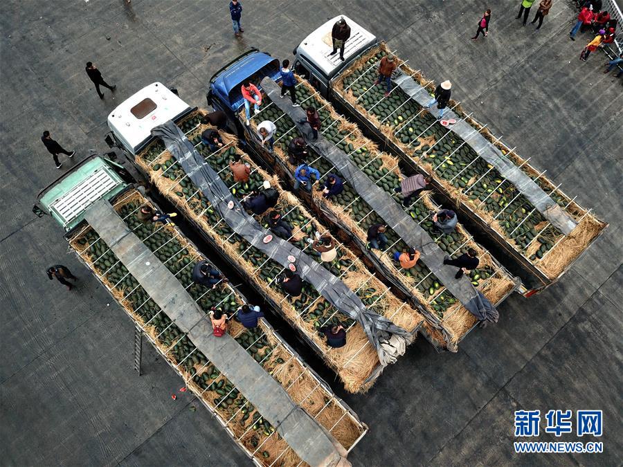 （新时代新气象新作为·图文互动）（10）广西：“四维支撑、四沿联动”构建开放新格局