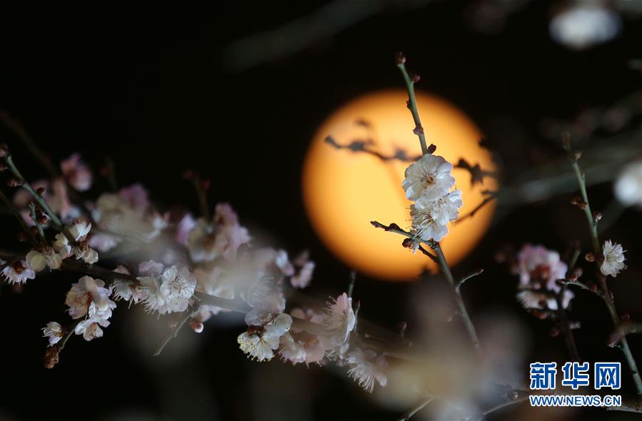 （镜观中国·新华网）（2）新华社国内照片一周精选