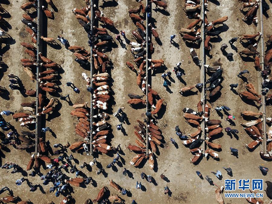 （镜观中国·新华网）（7）新华社国内照片一周精选