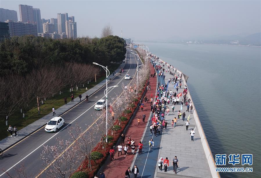 （体育）（1）全民健身——春光无限“樱花跑”