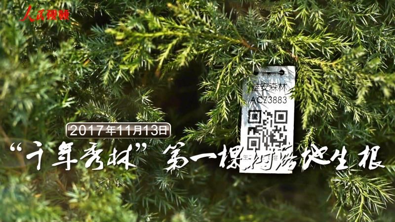 雄安一岁啦！120秒震撼视频回看雄安的“第一次”