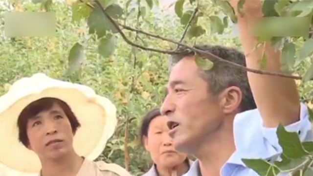 靳志强在给村民讲解嫁接技术