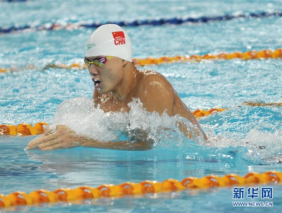 （体育）（5）游泳——全国冠军赛预赛赛况