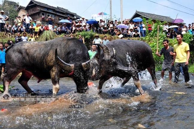 [广西这一天]第四期：壮族三月三，广西人嗨翻了……(附大量珍贵历史照片)