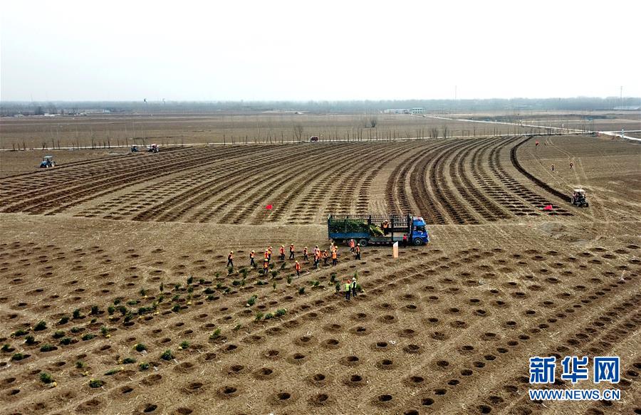 （新华全媒头条·图文互动）（6）奋进新时代　建设雄安城——以习近平同志为核心的党中央谋划指导《河北雄安新区规划纲要》编制纪实