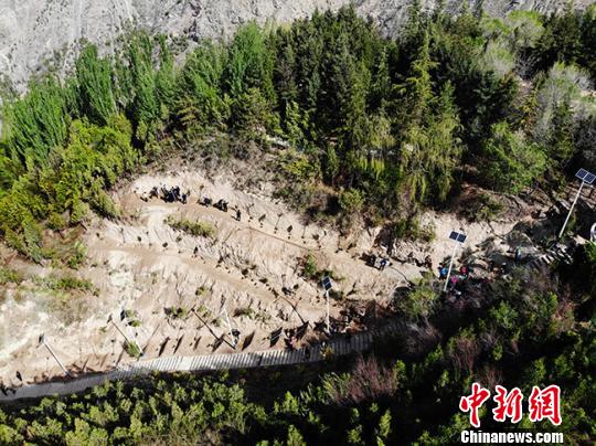 兰州持续植树播绿南北两山渐成城市“花园”