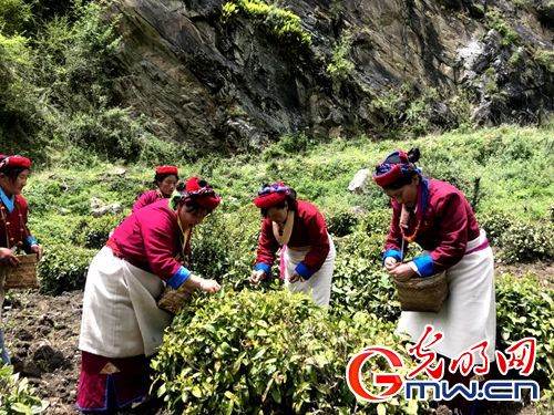 【新时代·美丽幸福新边疆】网媒西藏山南行：记录雪域变迁，描绘边疆新颜