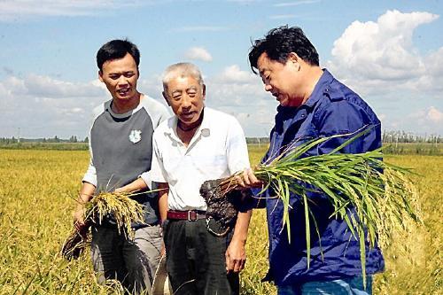 付华廷(右一)在田间查看有机水稻长势 新华社/图