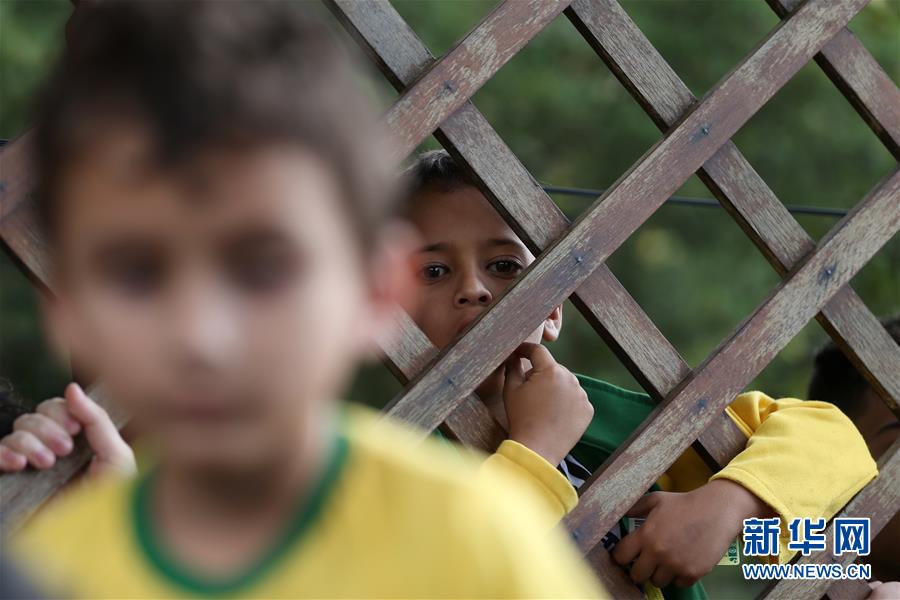 （体育）（11）足球——巴西队备战世界杯