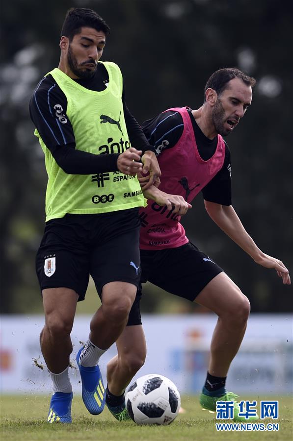 （体育）（5）足球——乌拉圭备战俄罗斯世界杯