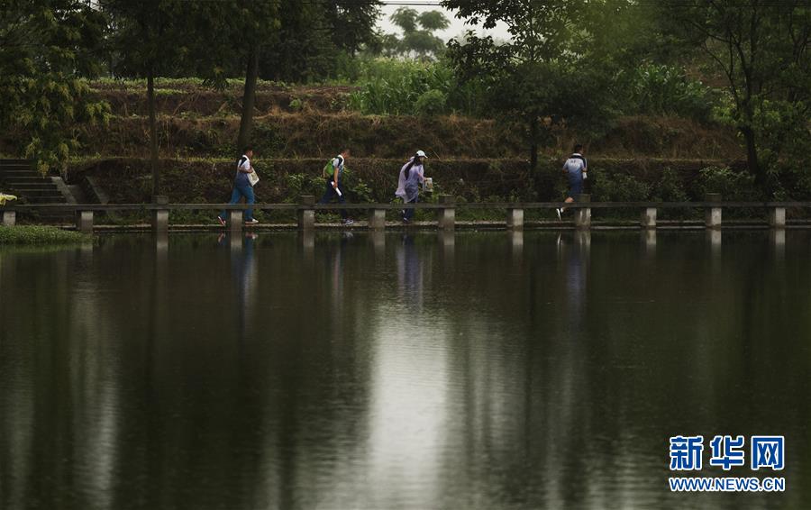 (体育)(4)首届“美丽乡村”全国攀岩系列赛闭幕