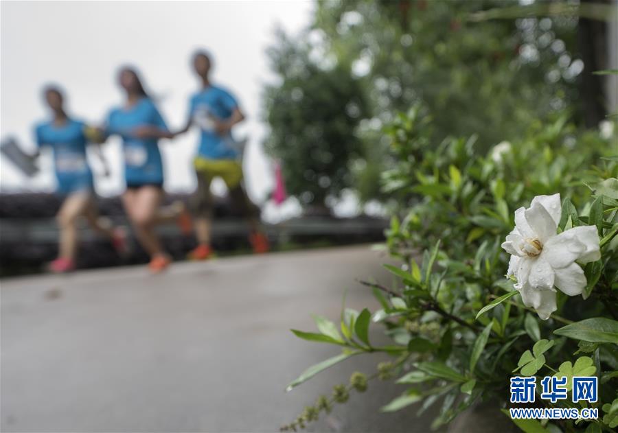 (体育)(5)首届“美丽乡村”全国攀岩系列赛闭幕