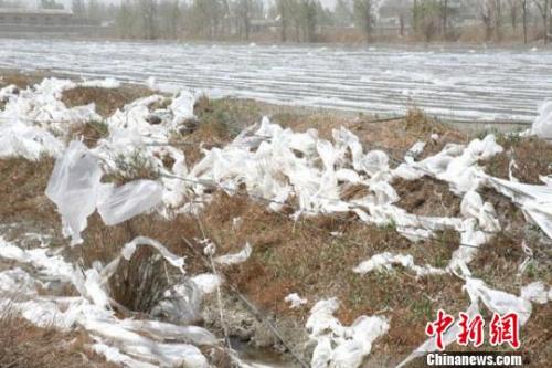 农业农村部：到2020年中国地膜覆盖面积基本实现零增长