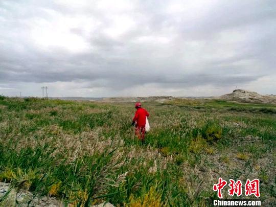 青海油田打造高原戈壁绿色油区