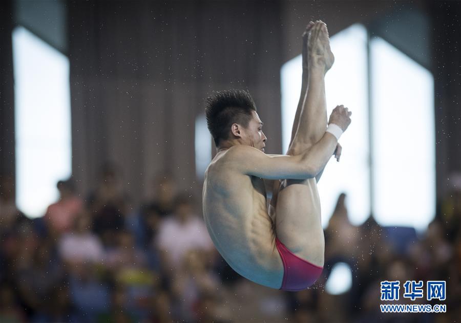 (体育)(3)跳水——世界杯:男子十米跳台赛况