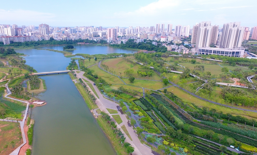 【新时代幸福美丽新边疆】海口美舍河凤翔湿地公园：把“梯田”搬到市民家门口