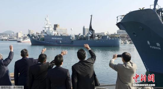 日本农相拟就重启商业捕鲸寻求国际社会理解