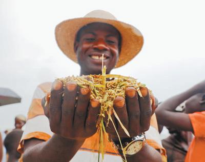 中国援助布隆迪杂交水稻刷新非洲记录 获当地官方认可