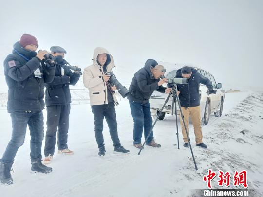 高原“护鹤人”踏雪巡线监测做“后勤保障”