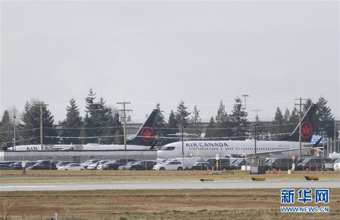 加拿大宣布停飞所有波音737 MAX型号飞机