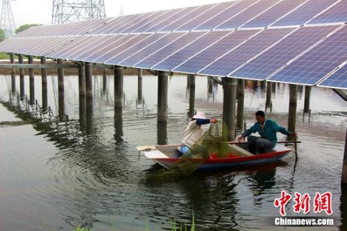 中国节能渔光互补项目 农户正在捕捞小龙虾