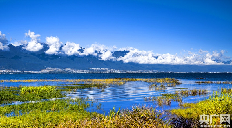 六国联手加强澜沧江-湄公河流域湿地保护管理