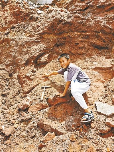 9岁小学生岸边发现6600万年前恐龙蛋 共挖出11枚