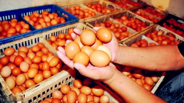 记者实地调查鸡蛋价格持续上涨 涨价背后原因曝光