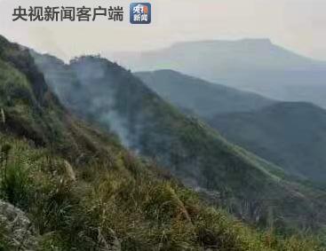 湖北咸宁因村民烧纸引发森林火灾 过火面积约65亩
