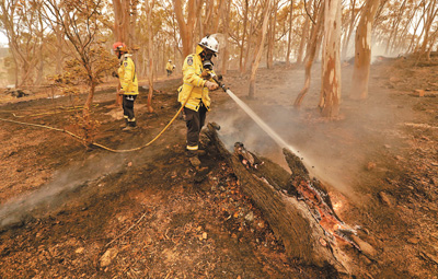 澳大利亚首都地区因林火风险进入紧急状态