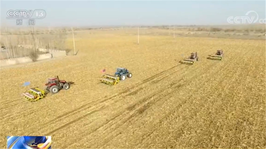 新疆博乐：5万亩免耕玉米全面开播 首次使用“云播种”监测系统