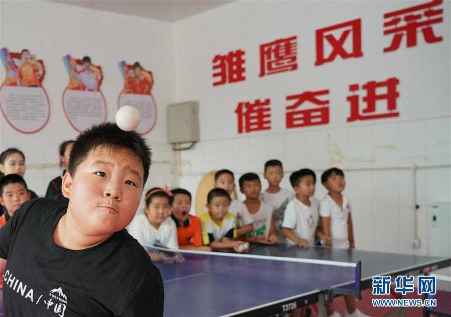 乒乓球——乒乓少年暑假挥拍