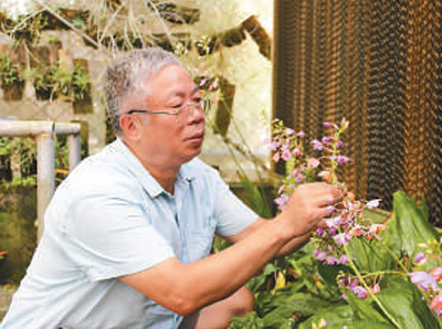 二十九年醉心兰科植物研究，南昌大学教授杨柏云——“花在哪里开，我就去哪里”（自然之子）