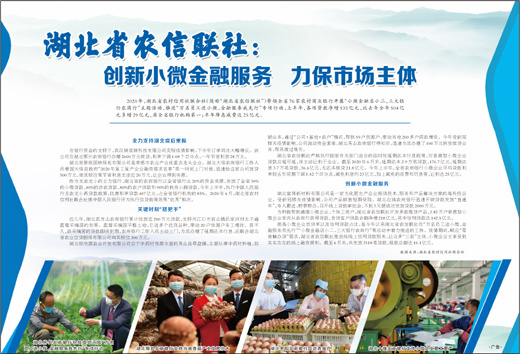 湖北省农信联社：创新小微金融服务 力保市场主体