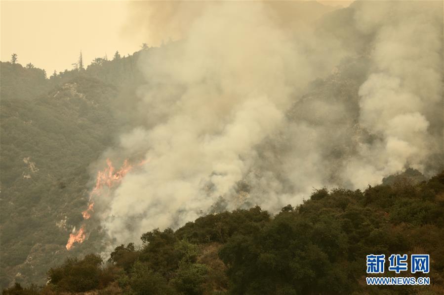 美国加州山火过火面积创历史新高