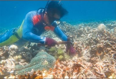 维护海洋环境和海岸安全，海南南海热带海洋研究所研究团队——在海底“种”珊瑚