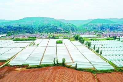 精准发力补短板 立足特色强优势——天津武清与甘肃泾川静宁扶贫协作