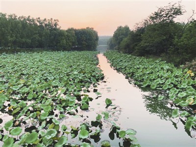 北京已建12个国家、市级湿地公园
