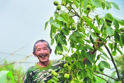 核桃树变身“摇钱树”——重庆市秀山土家族苗族自治县富裕村的脱贫之路