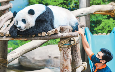马来西亚国家动物园重新开放