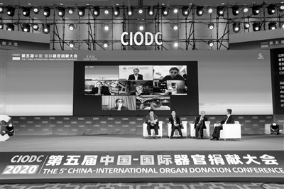 第五届中国-国际器官捐献大会召开为全球器官移植事业群策群力