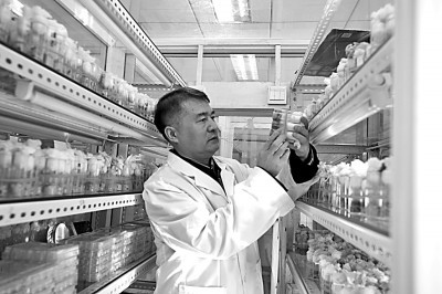 “害虫克星”是怎样炼成的——记中国农业科学院经济作物虫害防控科研团队