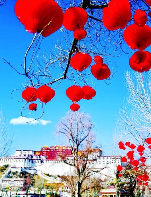 中华同春来西藏各族群众喜迎春节和藏历新年